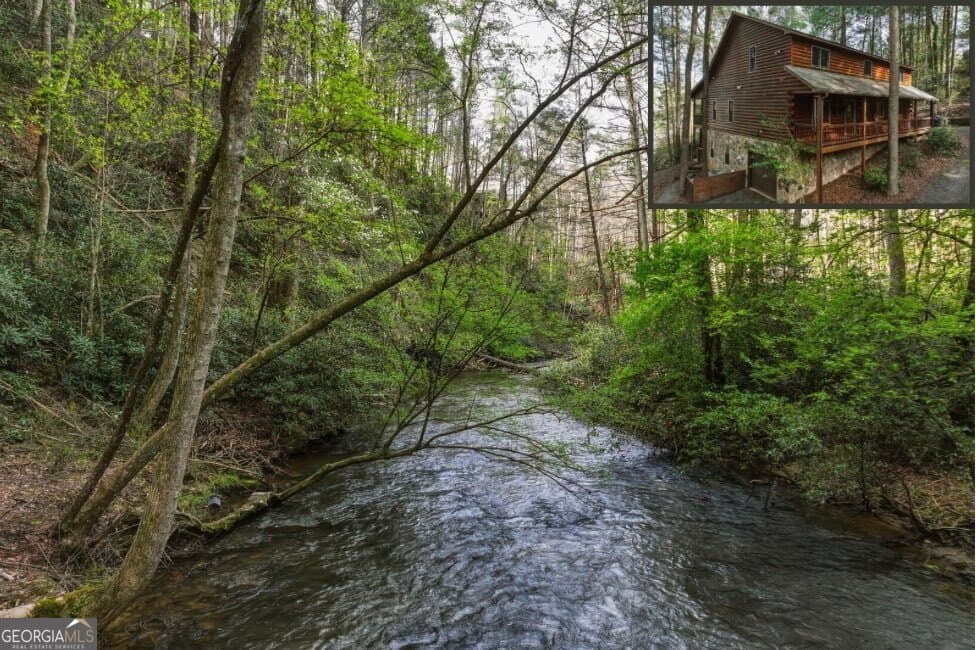 Goose Island Hideaway · 58 River Road, Cherry Log GA 30522