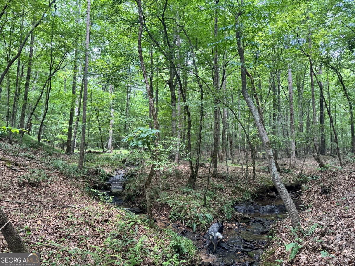 140+/- AC Hwy 100, Franklin GA 30217