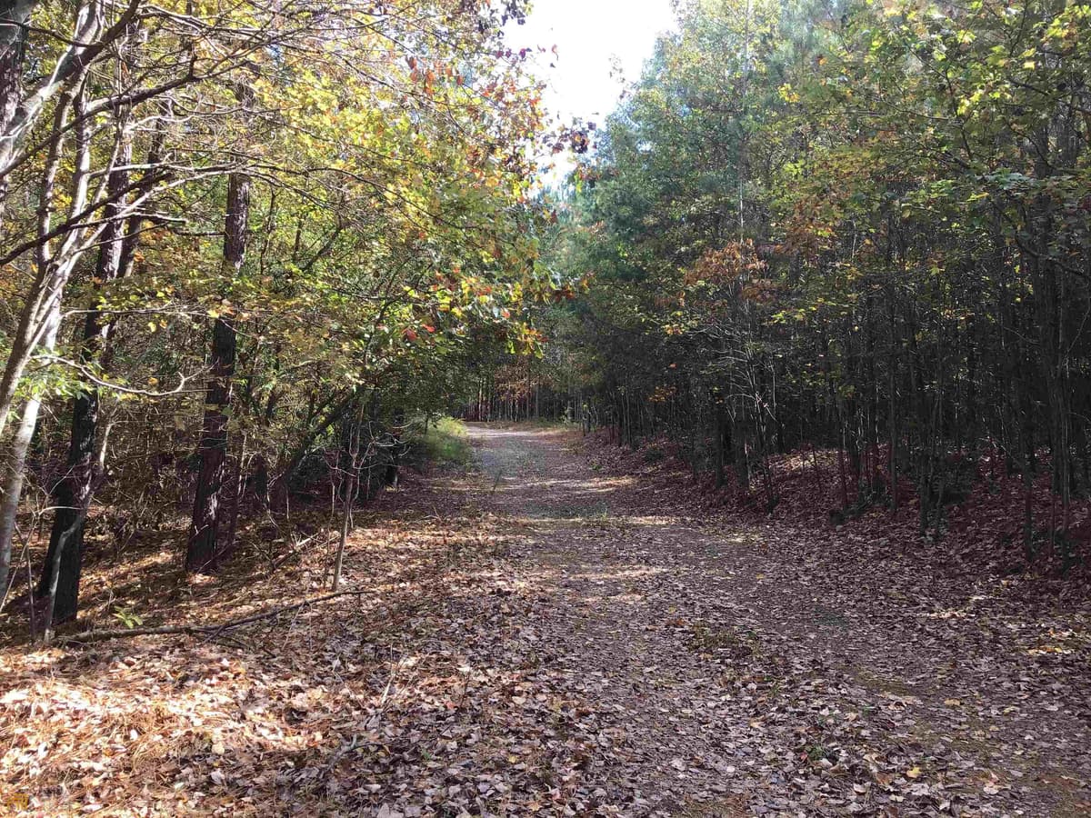 0 Snow Springs Road, Adairsville GA 30103