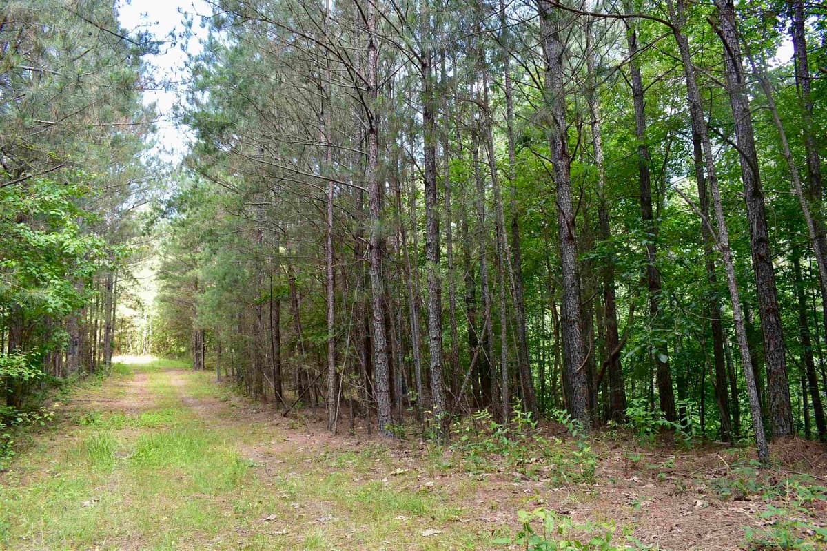 0 Nickelsville Road, Ranger GA 30734