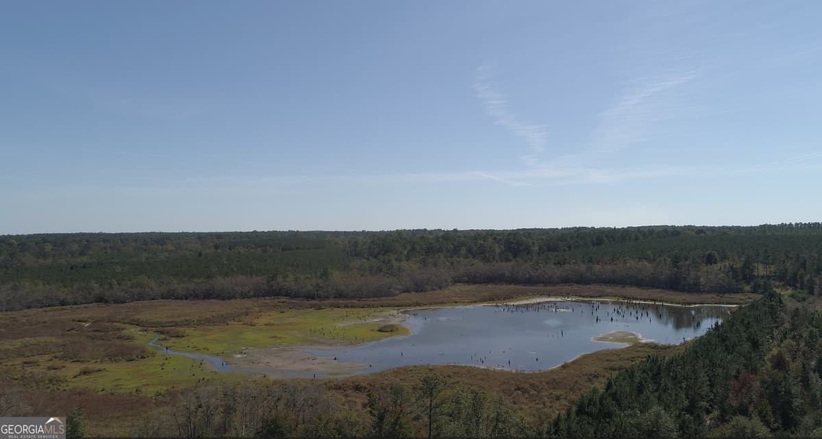 2202 KENNEDY BRIDGE Road, Register GA 30452