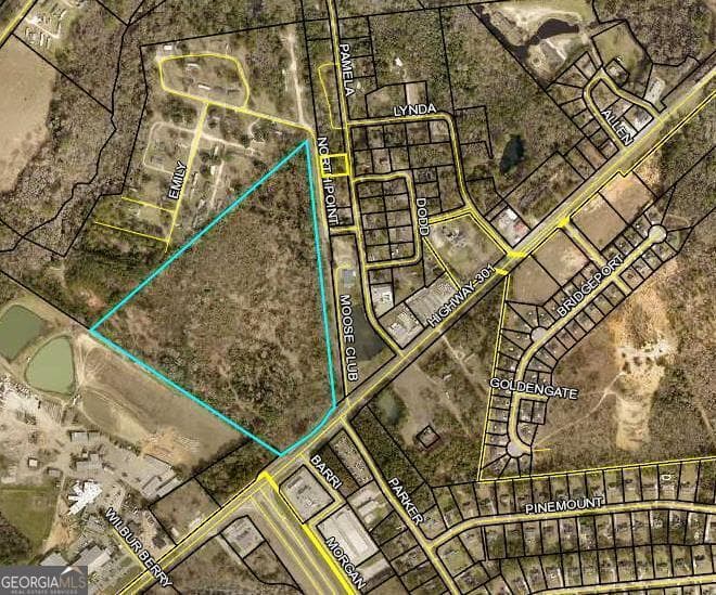 0 Highway 301 N, Statesboro GA 30461