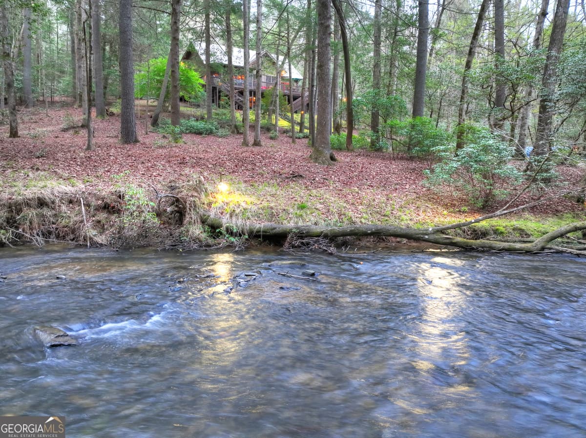 Goose Island Hideaway · 266 River Road, Cherry Log GA 30522