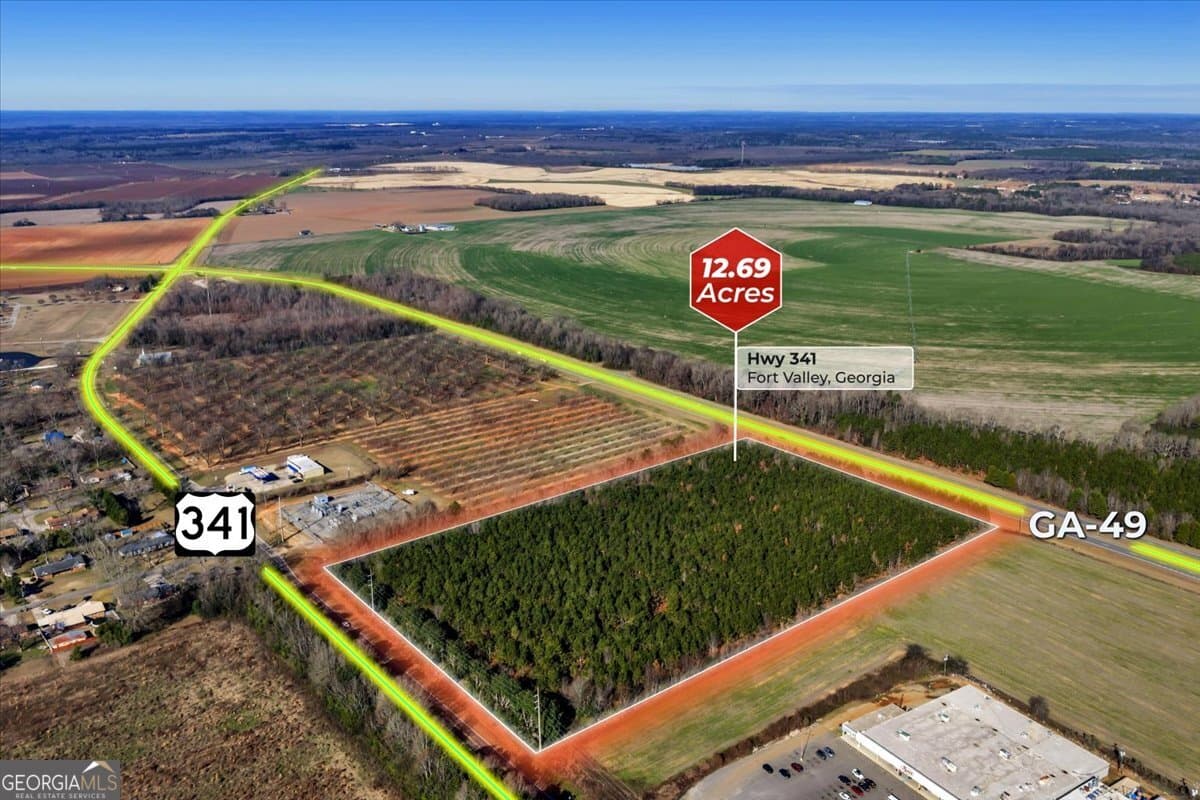 341/49 highway, Fort Valley GA 31030