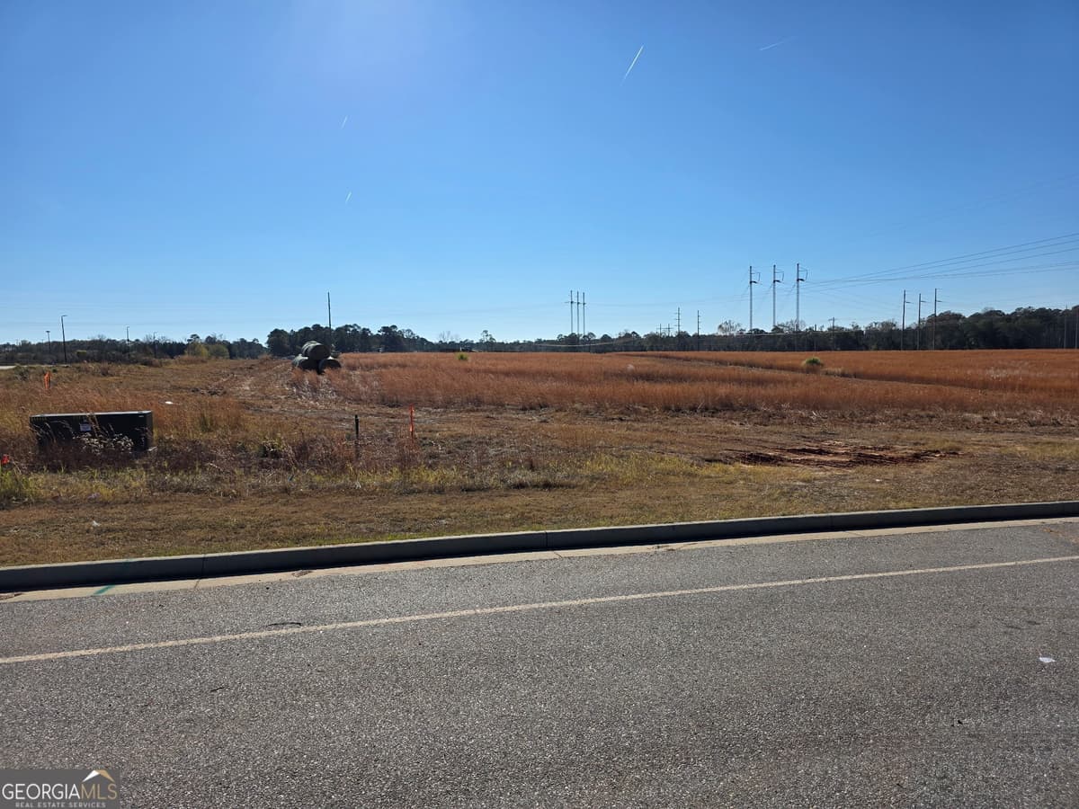 0 Tormenta Way, Statesboro GA 30460