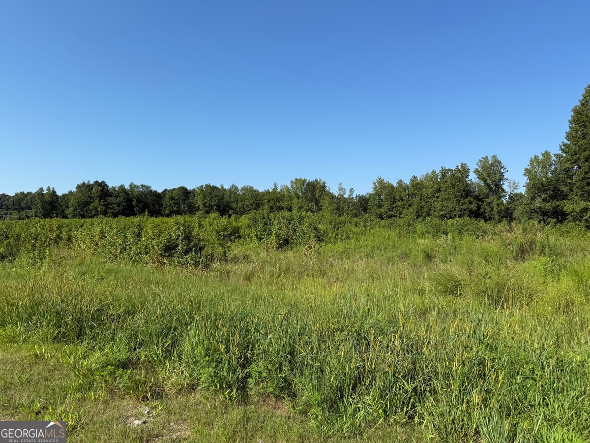 0 N Ga Highway 113, Temple GA 30179