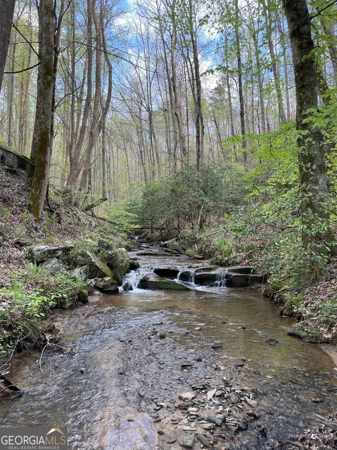 0 Shady Grove Road, Talking Rock GA 30175