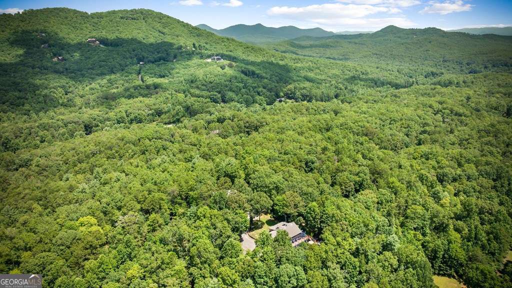178 Arp Road, Mineral Bluff GA 30559