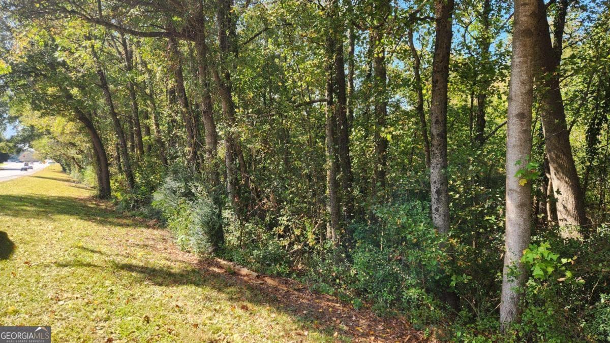 0 Bullsboro Drive, Newnan GA 30265