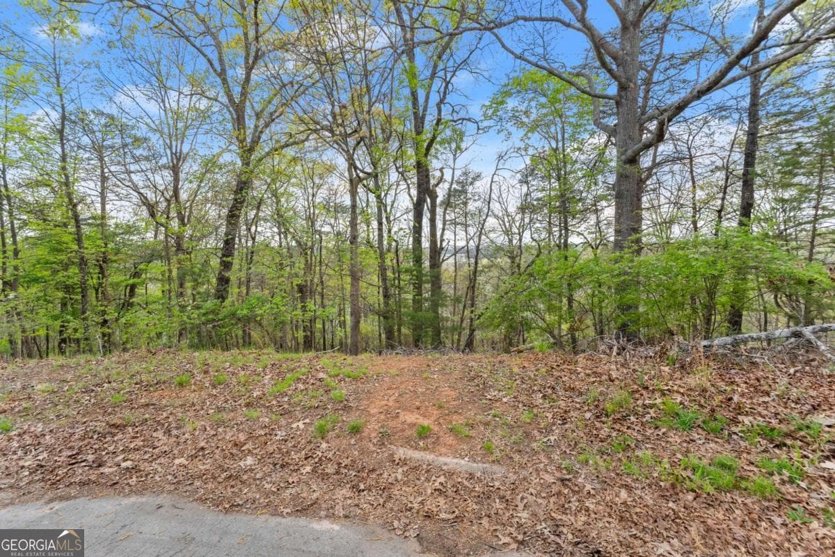 Chattahoochee Landing · 0 Thompson Ovlk, Gainesville GA 30506