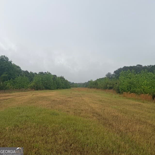 Rural · 145 +/- ACRES George Smith Road, Talbotton GA 31827