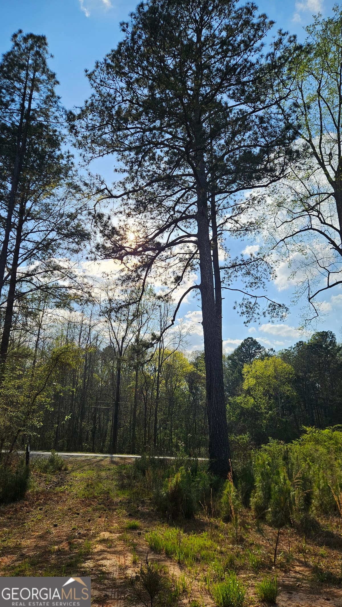 0 Hwy 15, Greensboro GA 30642