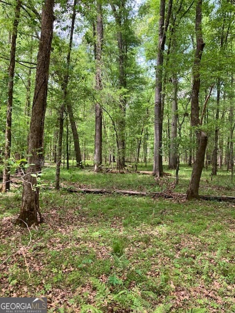 310 Philomath Woodville Road, Rayle GA 30660