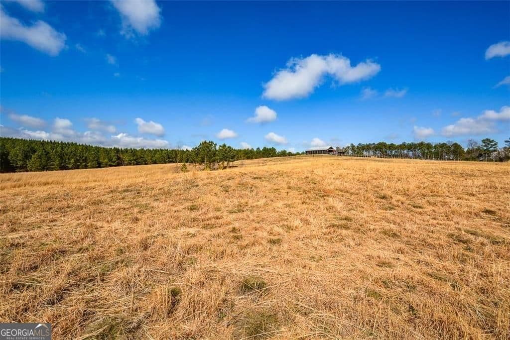 119 Inland 15 acres Drive # 0, Talking Rock GA 30175