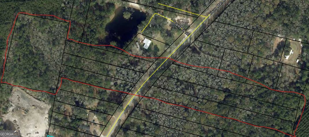 0 Youngman Road, Townsend GA 31331