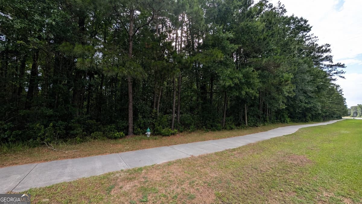 0 Harris Trail Road, Richmond Hill GA 31324