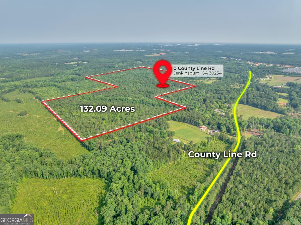 0 County Line Road, Jenkinsburg GA 30234