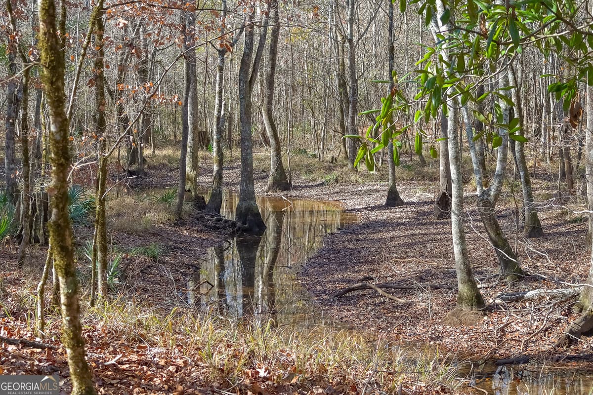 0 Limestone Road, Cochran GA 31014