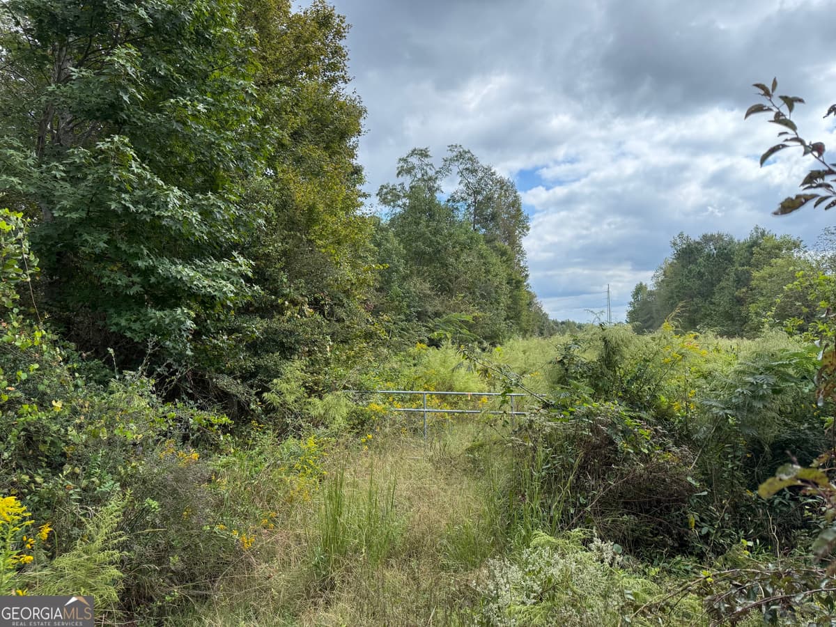 0 Magnolia Avenue, Bowdon GA 30108