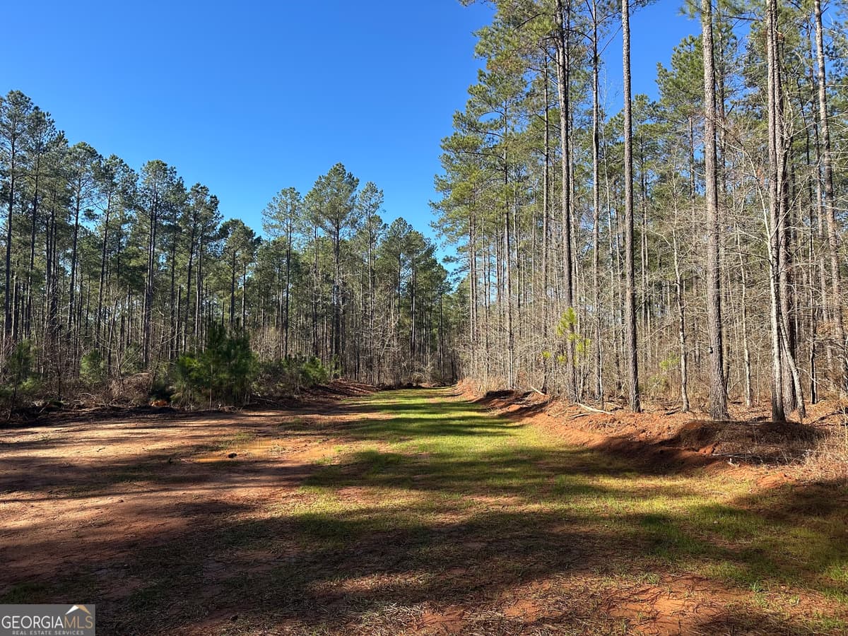 0 Farmington Road, Watkinsville GA 30677
