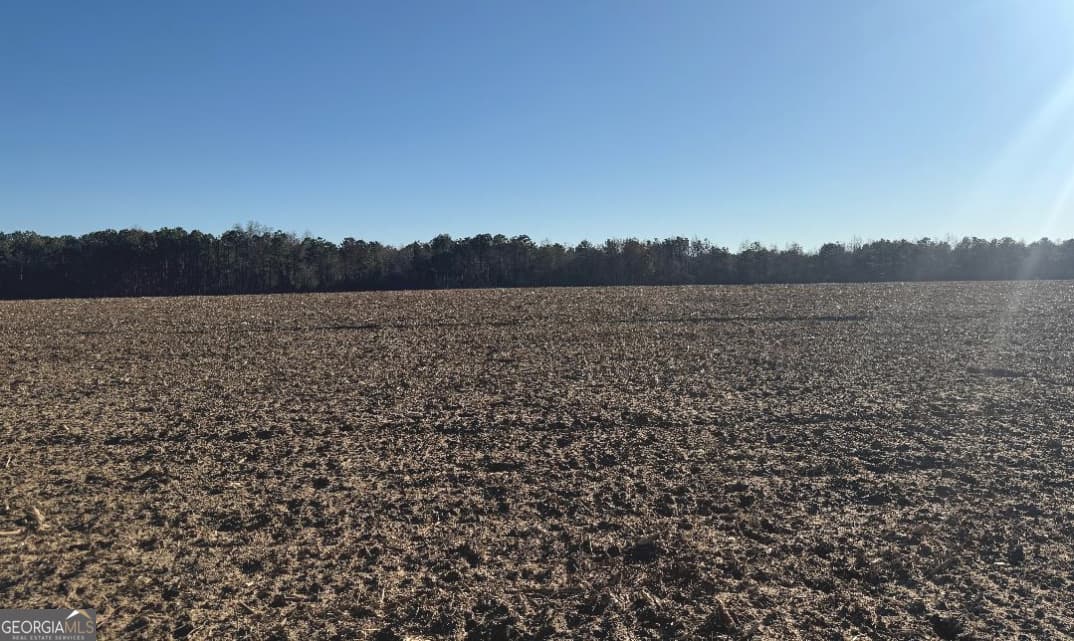 0 Whitfield Road, Elko GA 31025