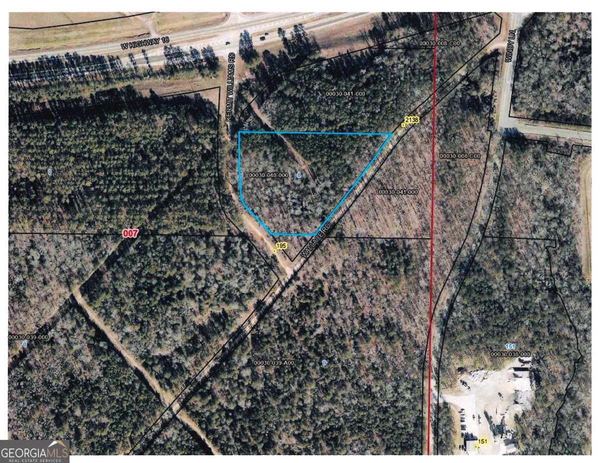4 ACRES Wallace Road, Jackson GA 30233