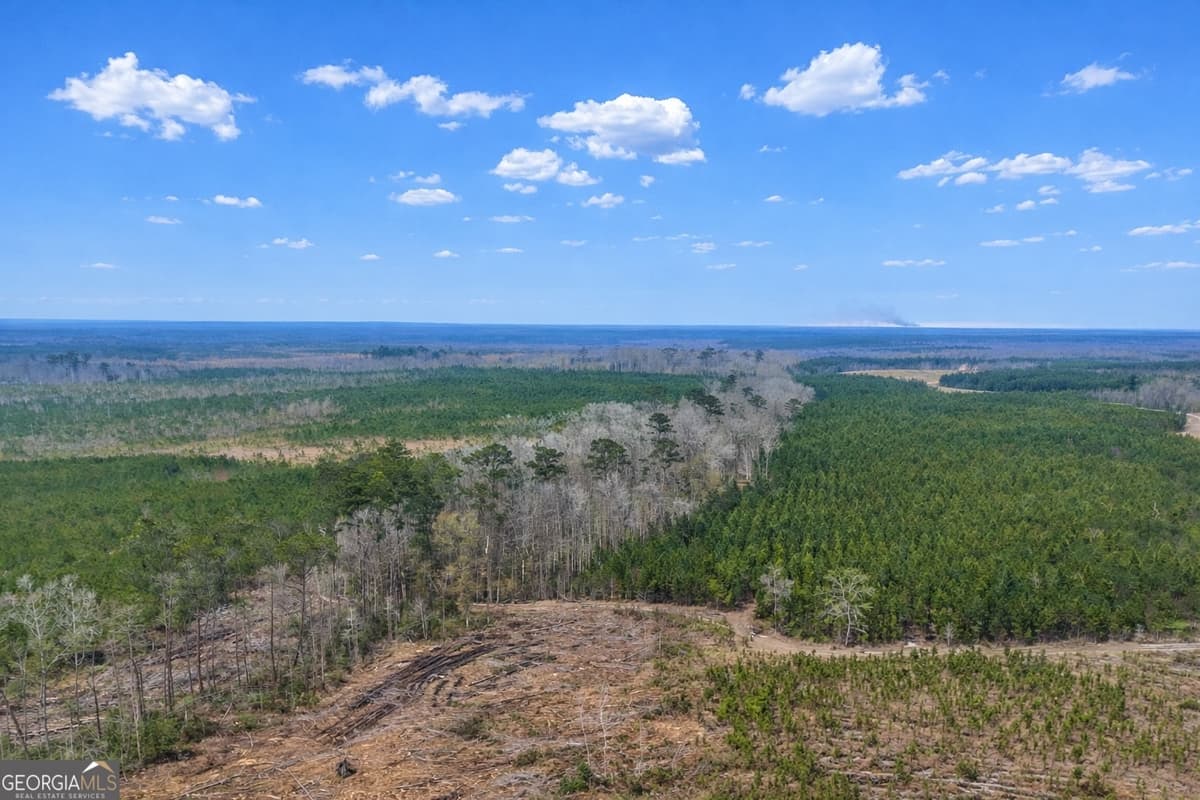 0 Highway 121, Glennville GA 30427