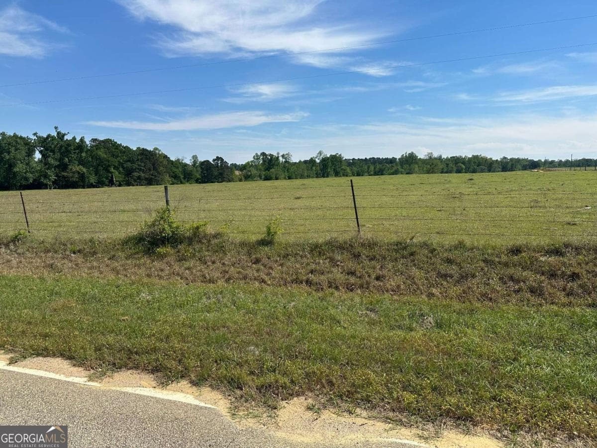 2905 Donald Cobb Road, Bartow GA 30413
