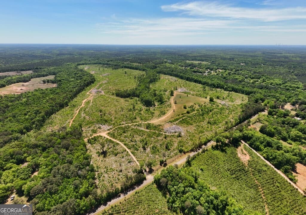 0 Fullerton-Phillips Road, Hillsboro GA 31038