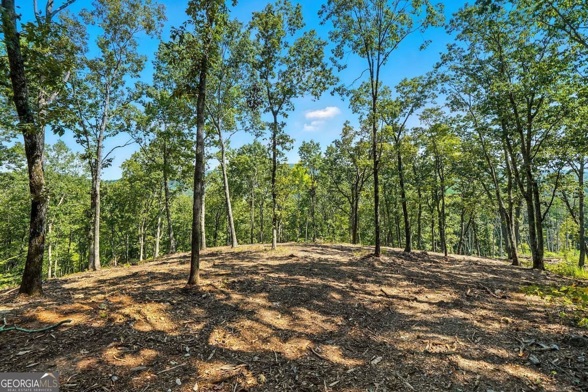 0 Debord Drive, Waleska GA 30183