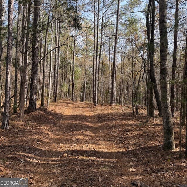 Rural · +/- 198 ACRES Dennis Creek Road, Talbotton GA 31827