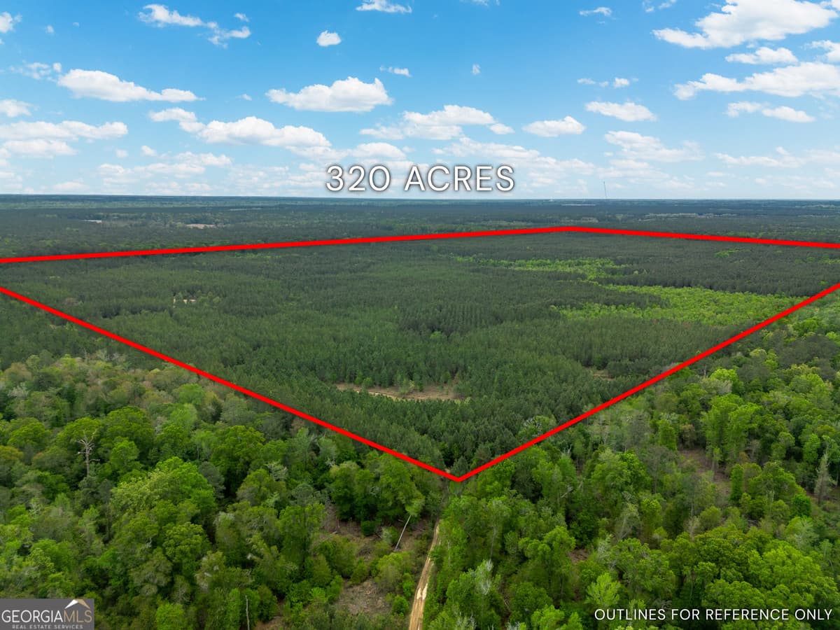 0 Highway 129, Abbeville GA 31001