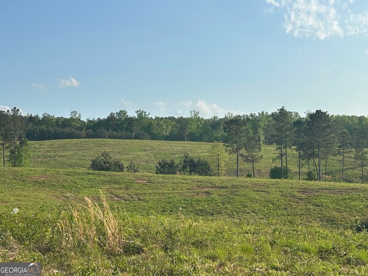 0 Needmore Road, Roopville GA 30170