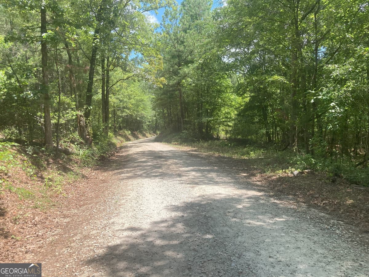0 Rabbit Run, Locust Grove GA 30248