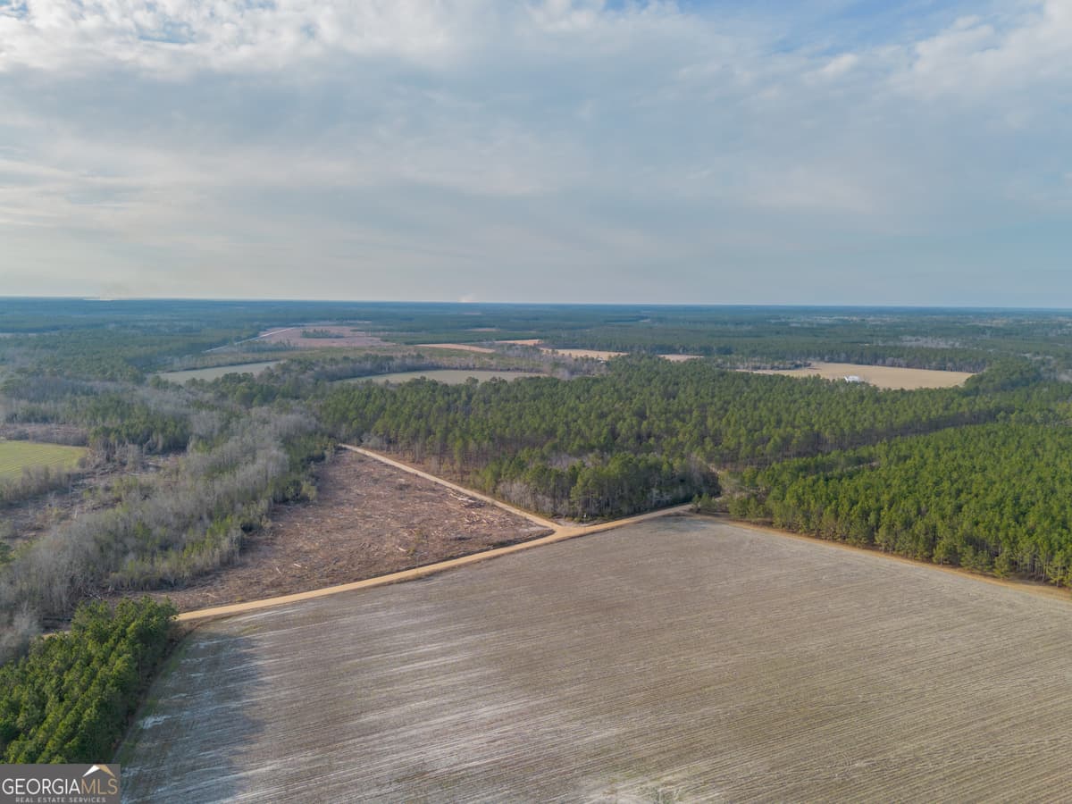TRACT 3 Reddish Road, Odum GA 31555