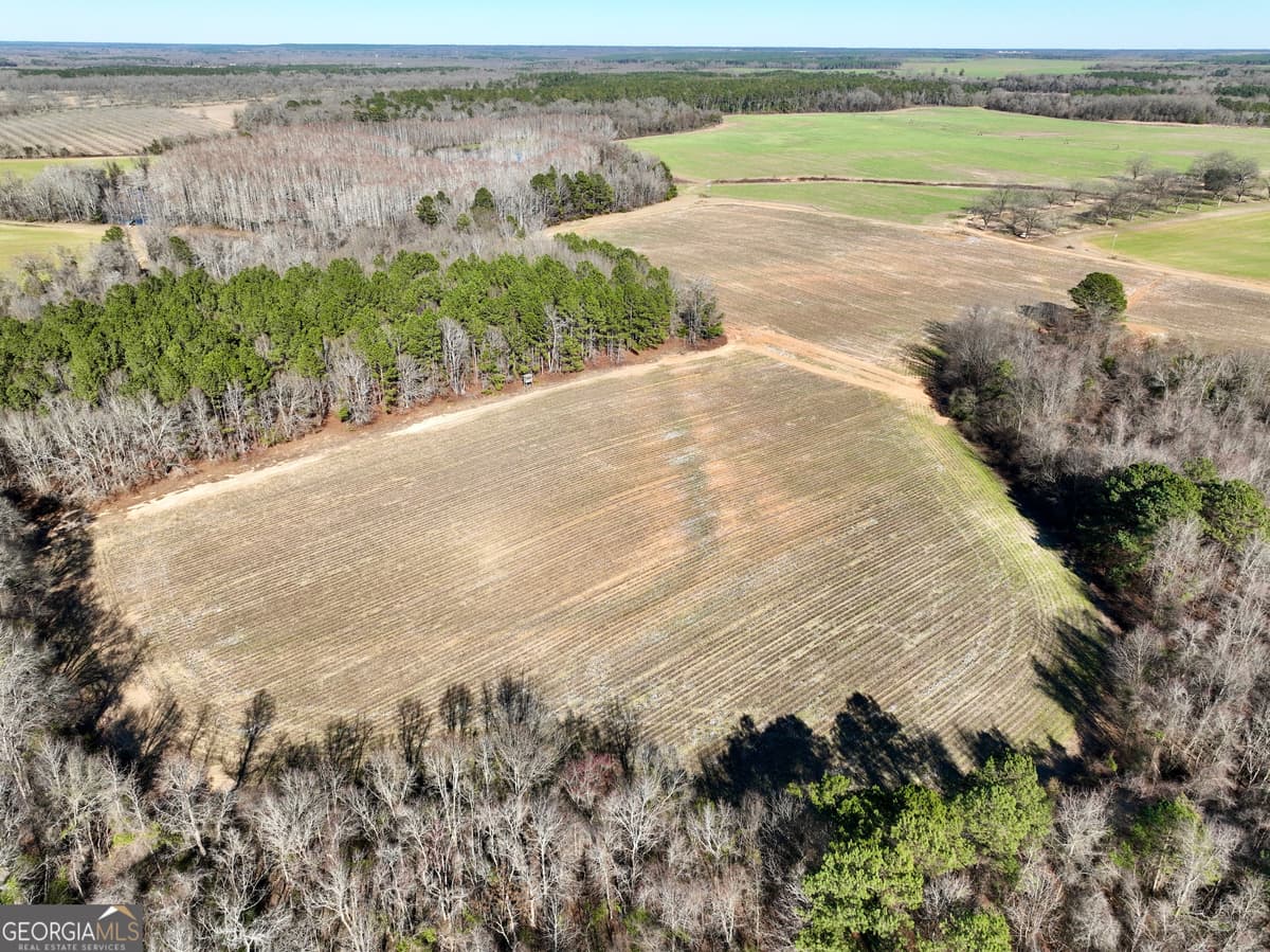 0 Jenkins Farm Road, Byromville GA 31007