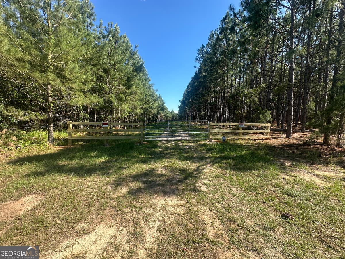 0 Dorsey Clark Road, Sylvania GA 30467