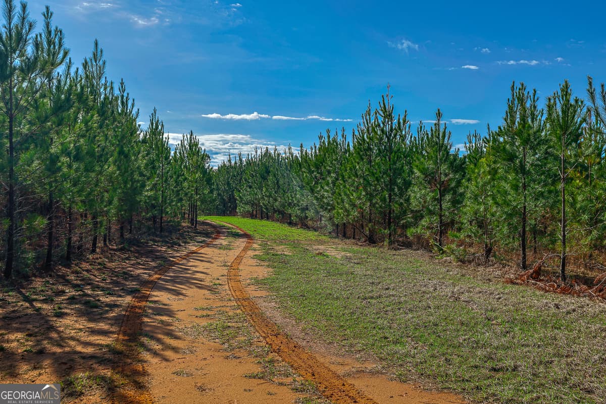 0 Island Creek Road, Sparta GA 31087
