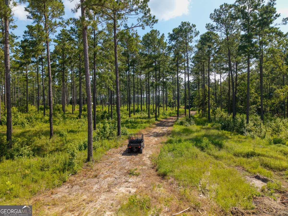 0 Henry Moxley Road, Cobbtown GA 30420