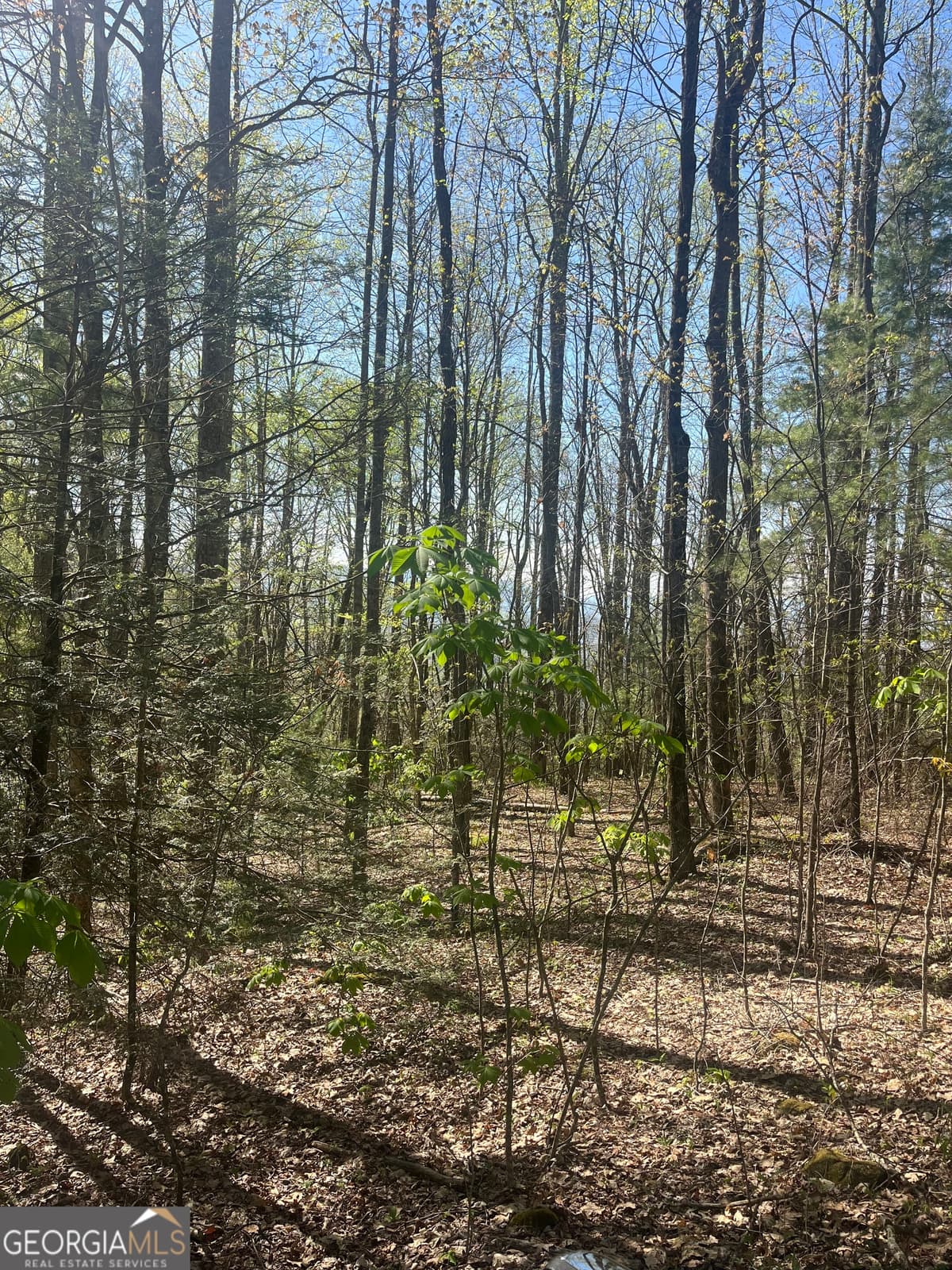 0 Happy Hill, Scaly Mtn NC 28775