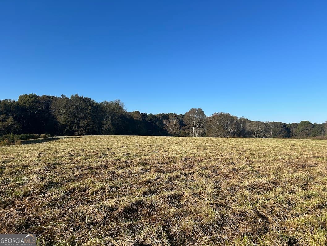 0 Old Columbus Road, Bowdon GA 30108