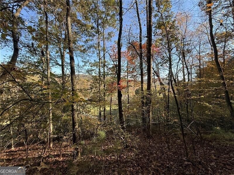 Betty's Creek · 0 O'V Justus Road, Rabun Gap GA 30568