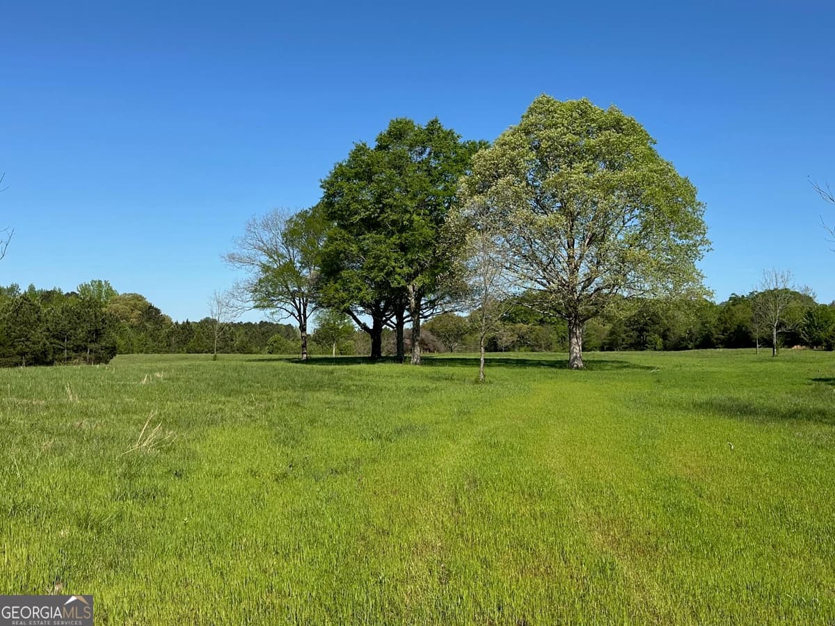 0 West Road, Concord GA 30206