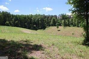 39.35 Acres · 0 Parksbrook Road, Ellijay GA 30540